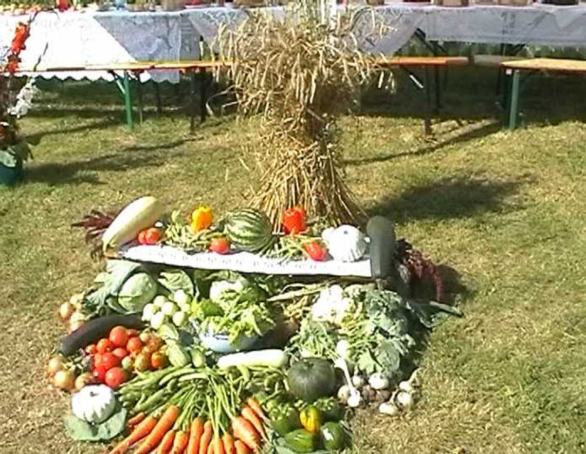 Święto działkowców