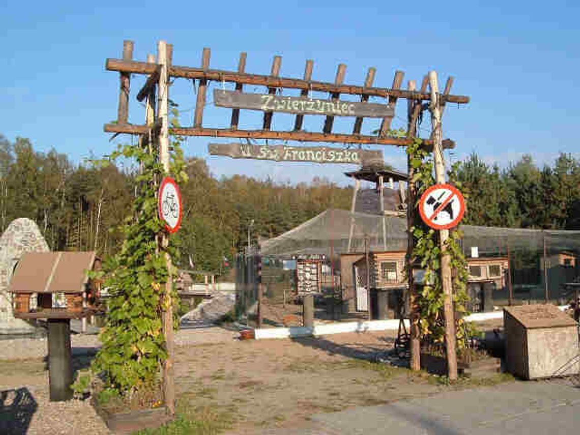 Święto zwierząt
