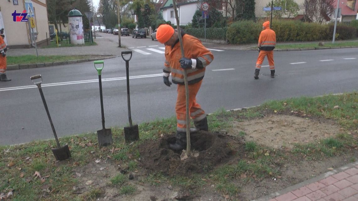 szczecineckie ulice zmieniają się 