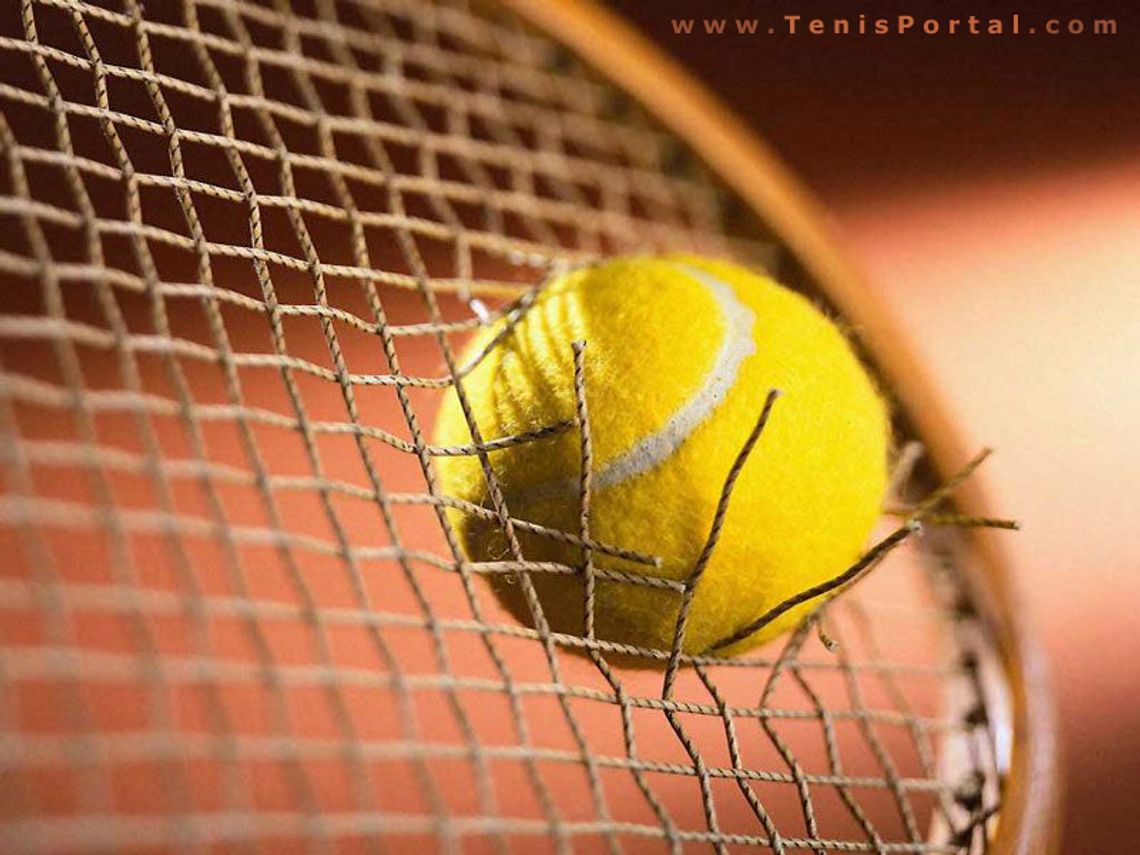 Tenis ziemny
