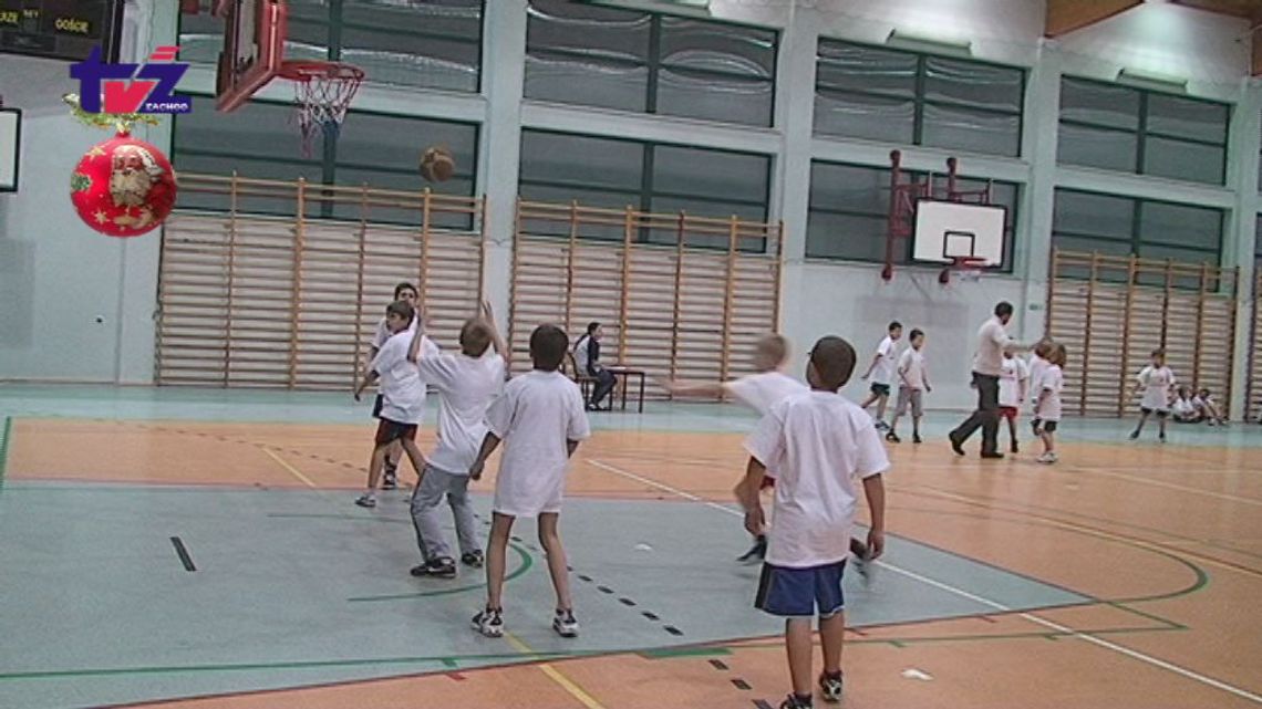 Trio basket