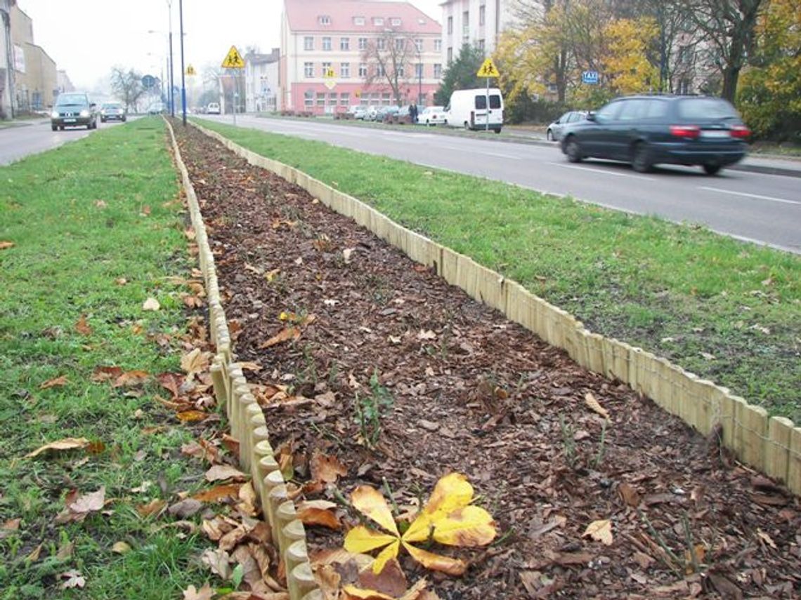 Ukwiecona ulica