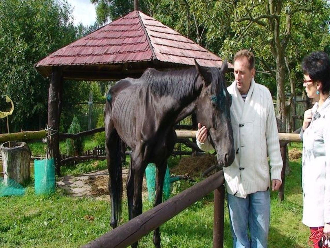 Uratowane konie