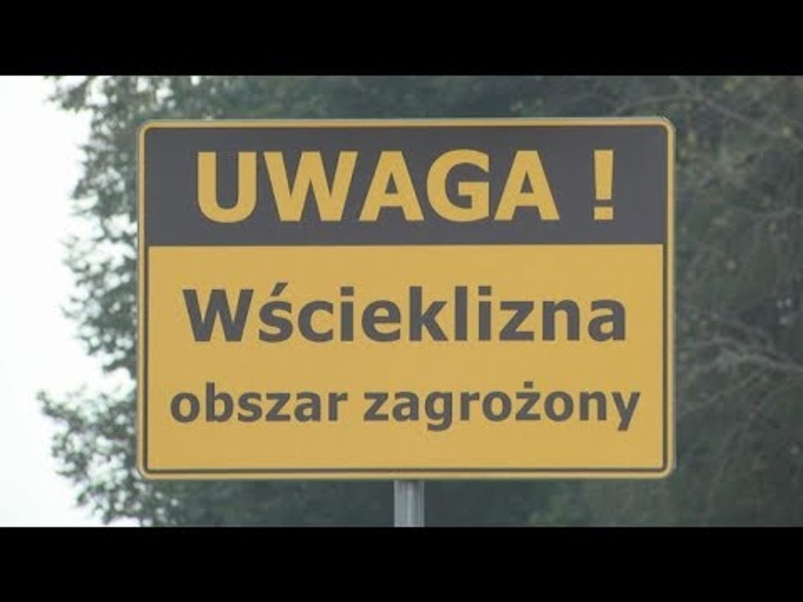 Uwaga! Wścieklizna!