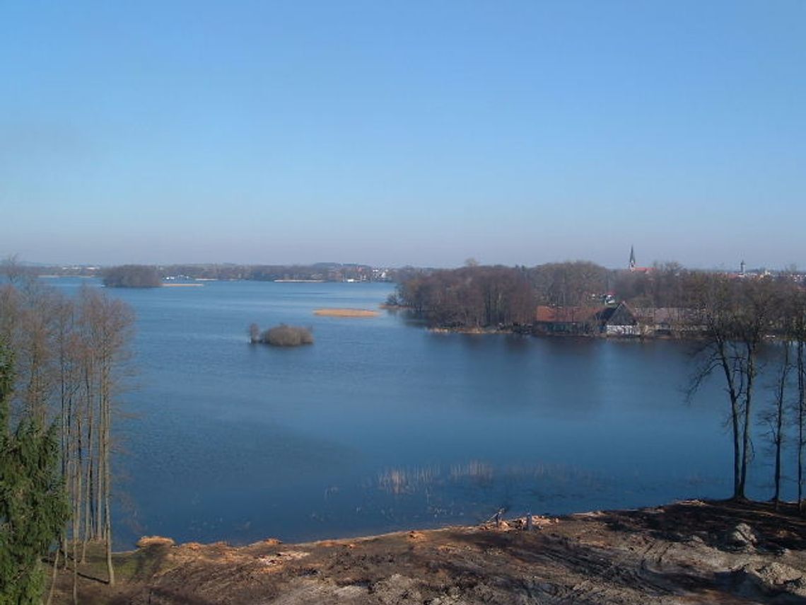 Widok z wieży