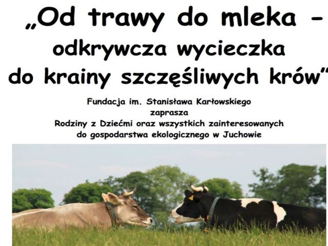 Zaproszenia