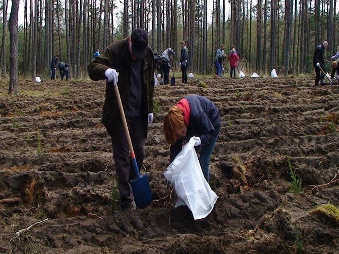 Zielonym do góry