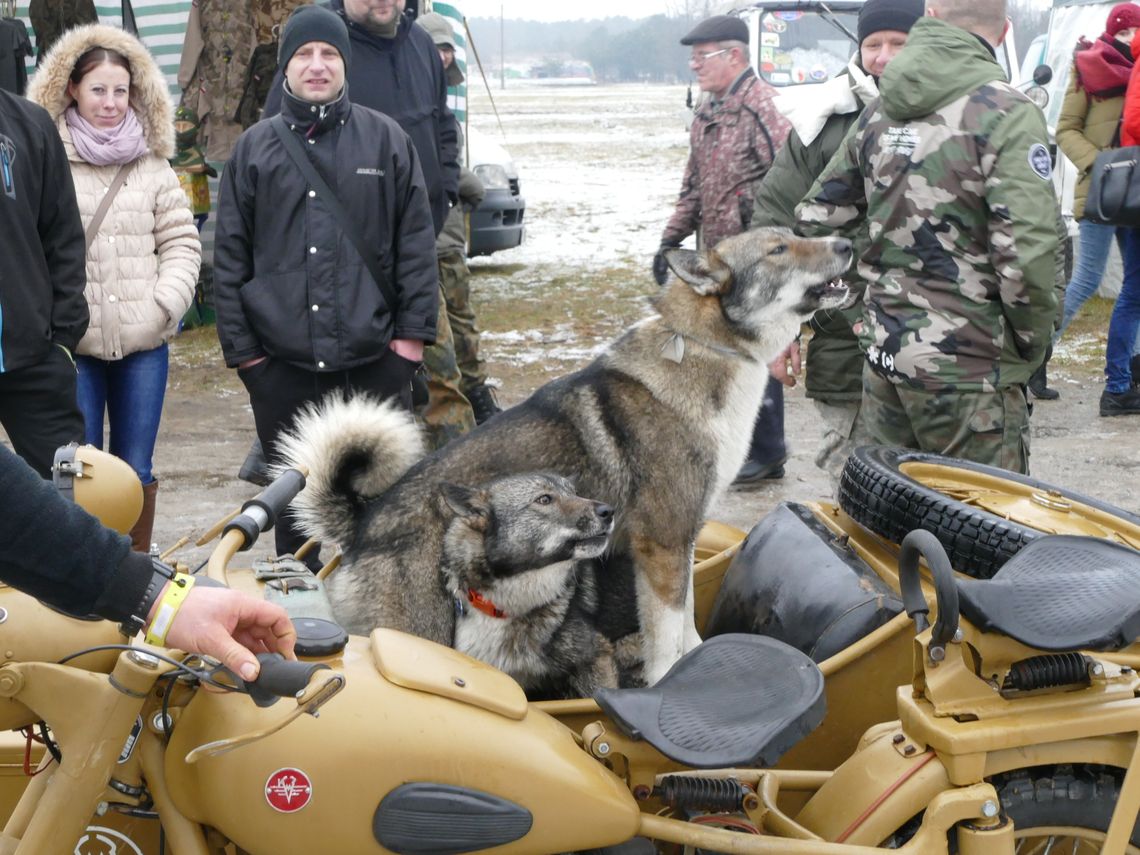 Zimowi militaryści w Bornem Sulinowie