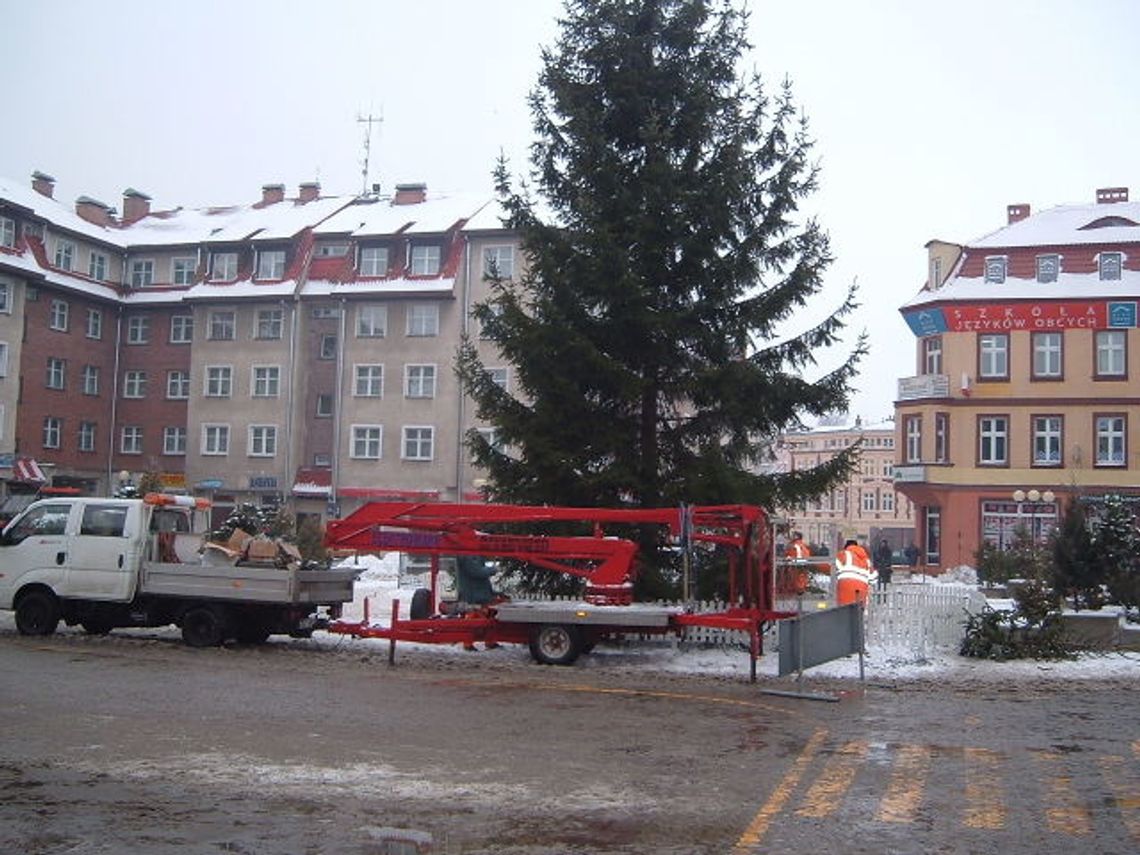 Znika choinka
