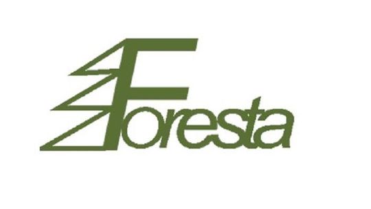 Foresta Place Zabaw