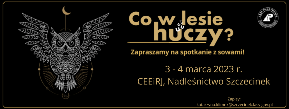 Co w lesie huczy Co w lesie huczy