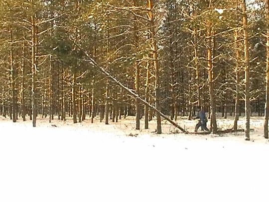 W terenie jedynym sposobem dostania się do miejsca awarii były narty