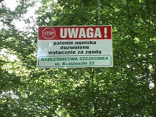 tablica wysoko na drzewie