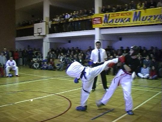 Mistrzowie Taekwon-do