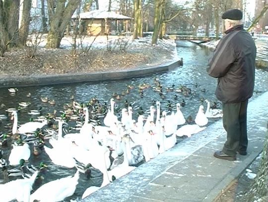 Dokarmiamy ptaki