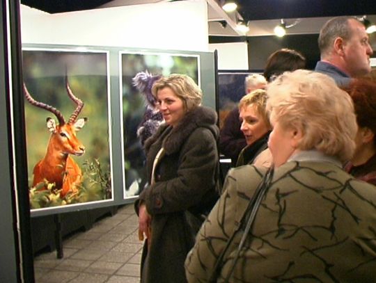 Fotografie Gudzowatego