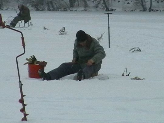 Podlodowe mistrzostwa