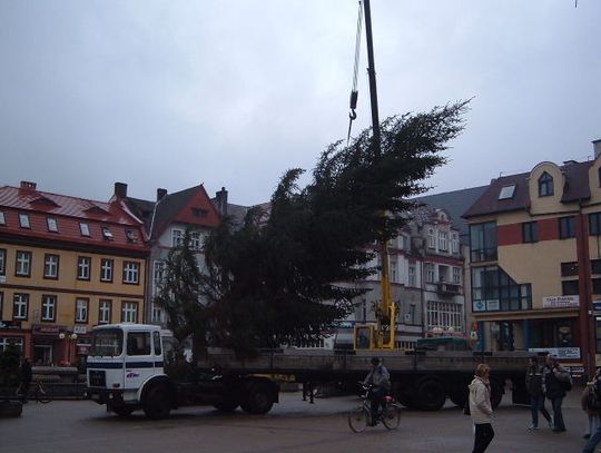 Choinka na Placu Wolności