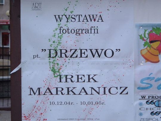 Drzewo w ART Galerii