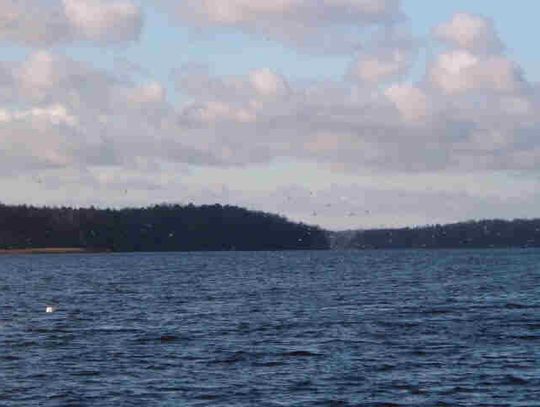Posprzątajmy jezioro
