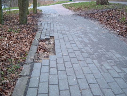 Rysa na ścieżce