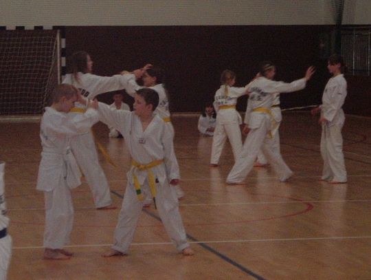 Mistrzostwa w Taekwondoo