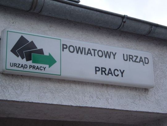 Oferty pracy