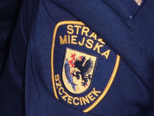 Bezpieczna szkoła