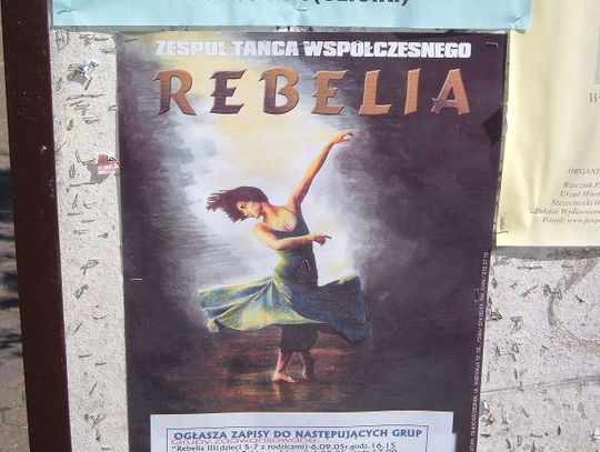 Zapisy do Rebelii