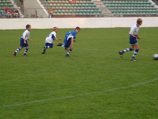 Dzikie drużyny