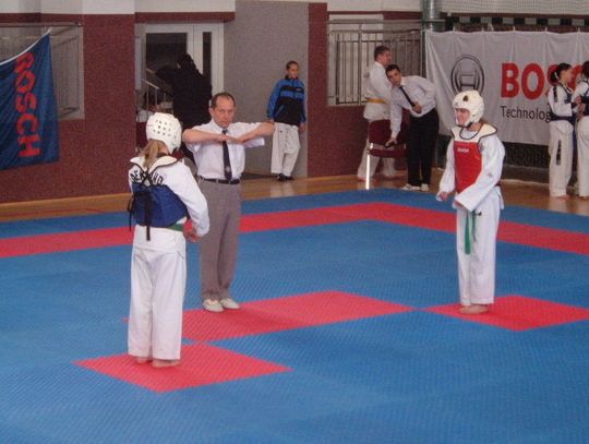 Mistrzostwa w karate