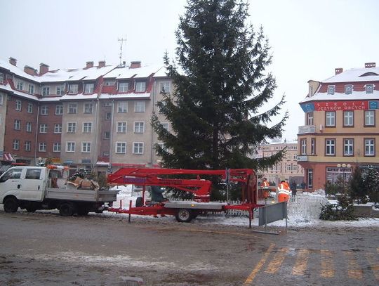 Znika choinka