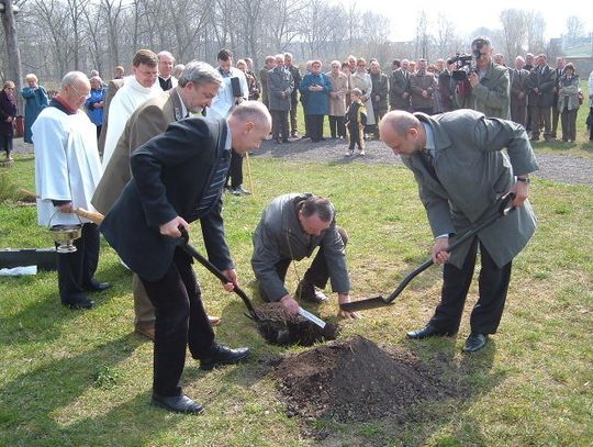 Papieski dąb