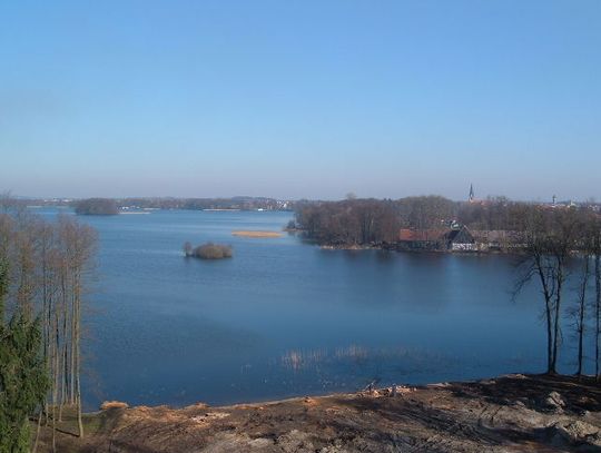 Widok z wieży