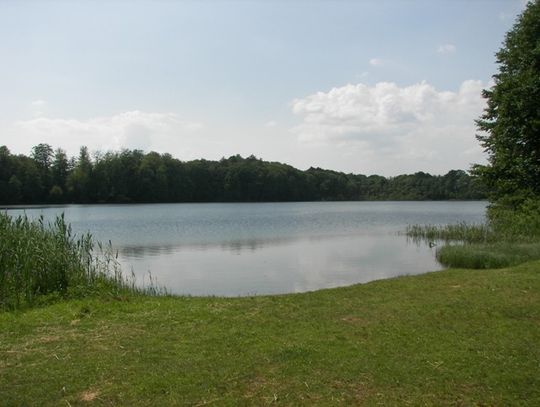 Czarnobór uporządkowany