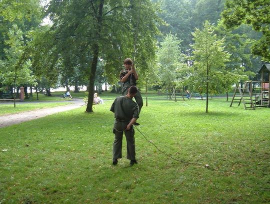 Małpi Gaj w parku