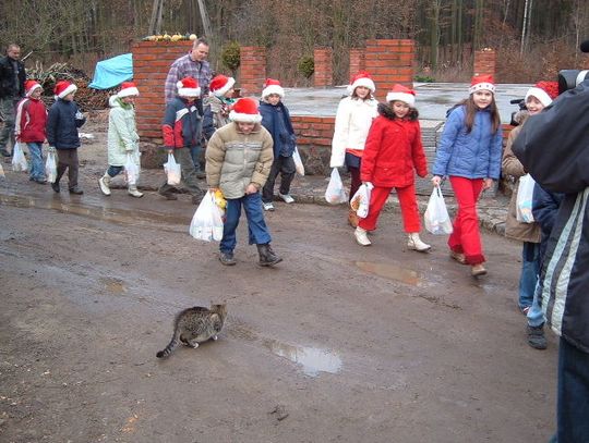 Mikołaj u psów
