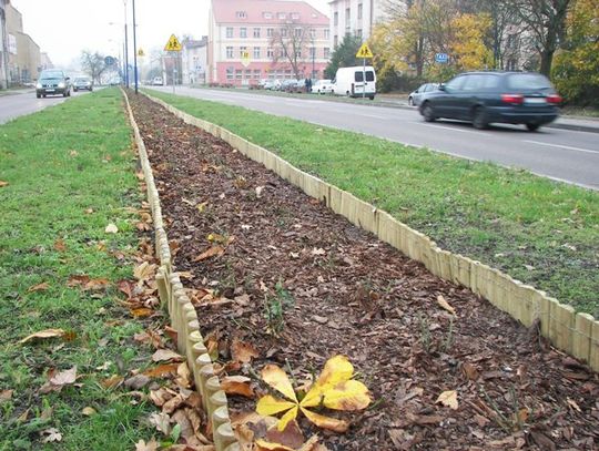 Ukwiecona ulica
