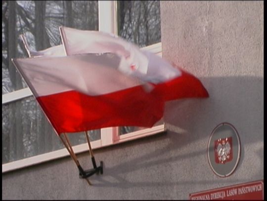 Dzień Niepodległości