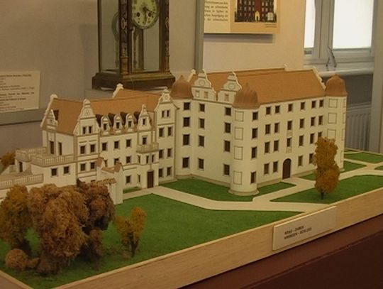 Zamki i pałace w Muzeum