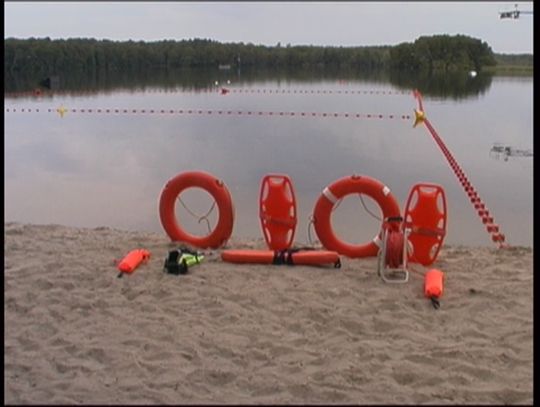 Kąpią się łabędzie