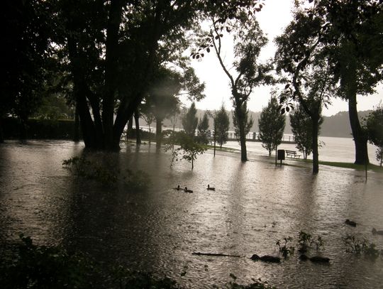 Zalasny Szczecinek