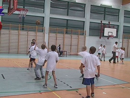 Trio basket