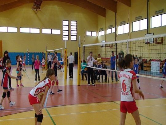 Mini Volley