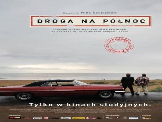 DKF zaprasza