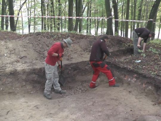 Archeolodzy w akcji